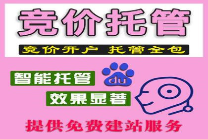 竞价托管成功案例：提升广告投放效果